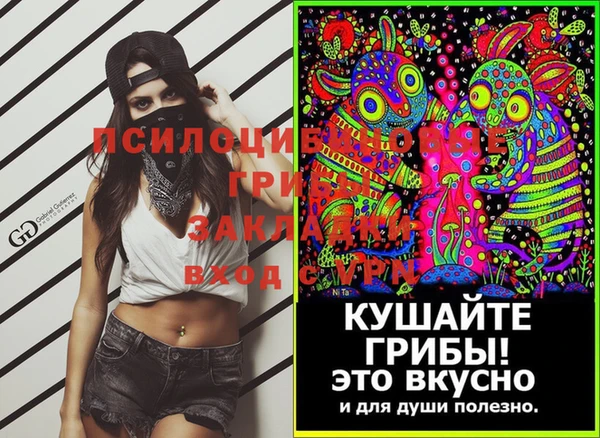 ешки Вяземский