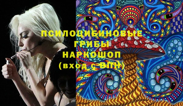 ешки Вяземский